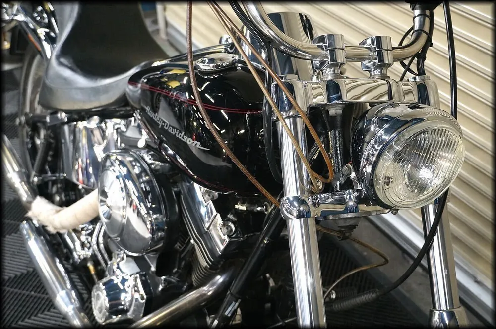 Harley-Davidson FXSTD1450 2002, фото 5