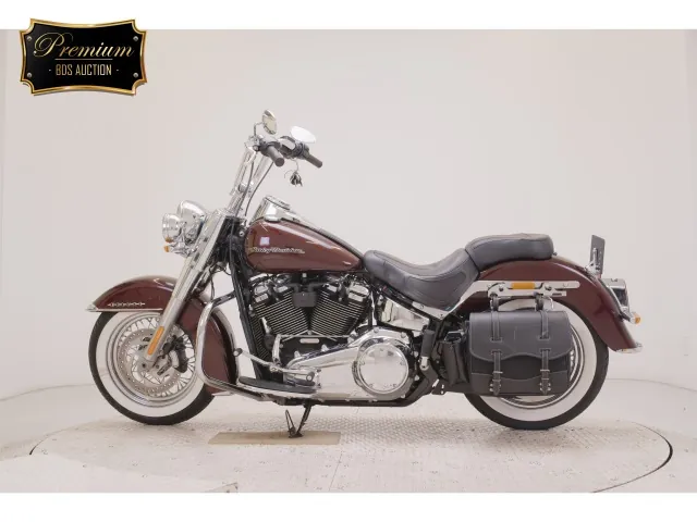 Harley-Davidson FLDE1750 2019, light brown, фото 2