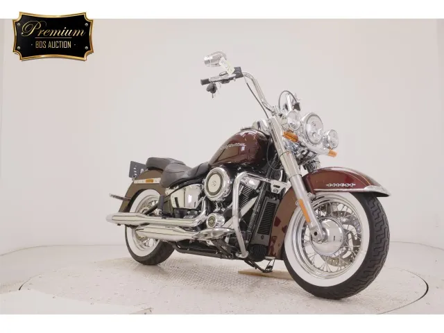 Harley-Davidson FLDE1750 2019, light brown, фото 3