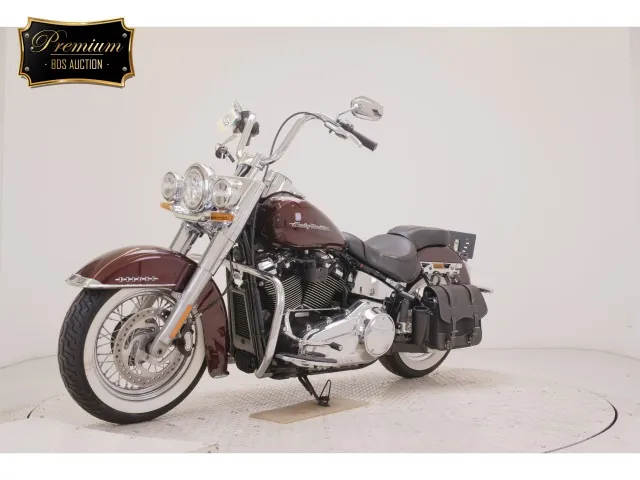 Harley-Davidson FLDE1750 2019, light brown, фото 4