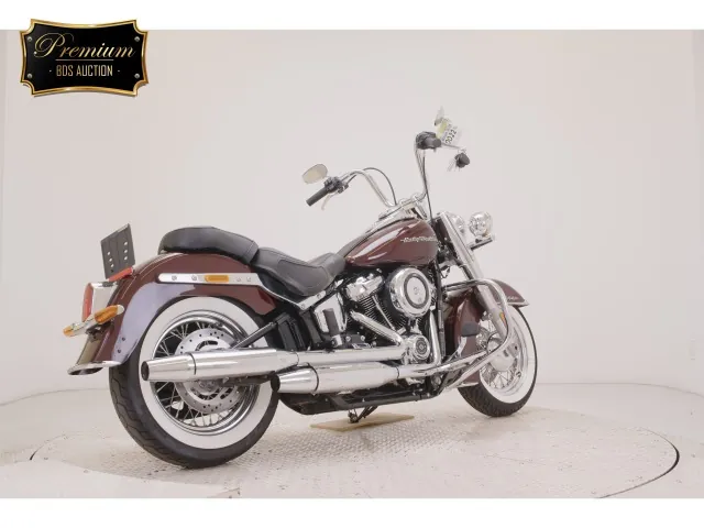 Harley-Davidson FLDE1750 2019, light brown, фото 5
