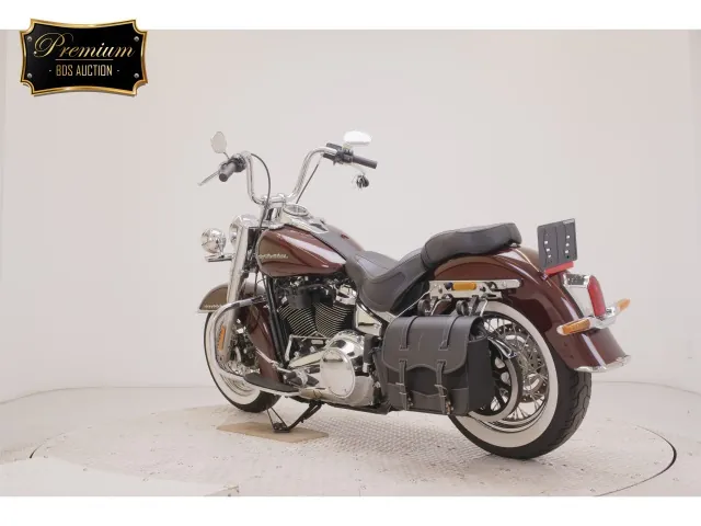Harley-Davidson FLDE1750 2019, light brown, фото 6