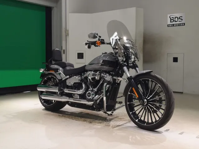 Harley-Davidson FXBR1920 2025, серый, фото 3