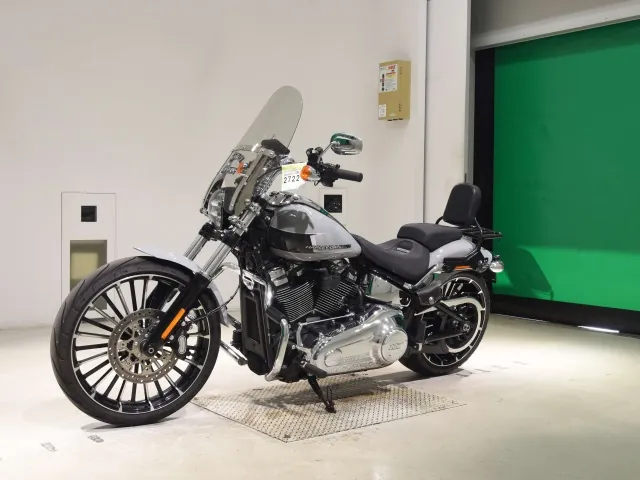 Harley-Davidson FXBR1920 2025, серый, фото 4