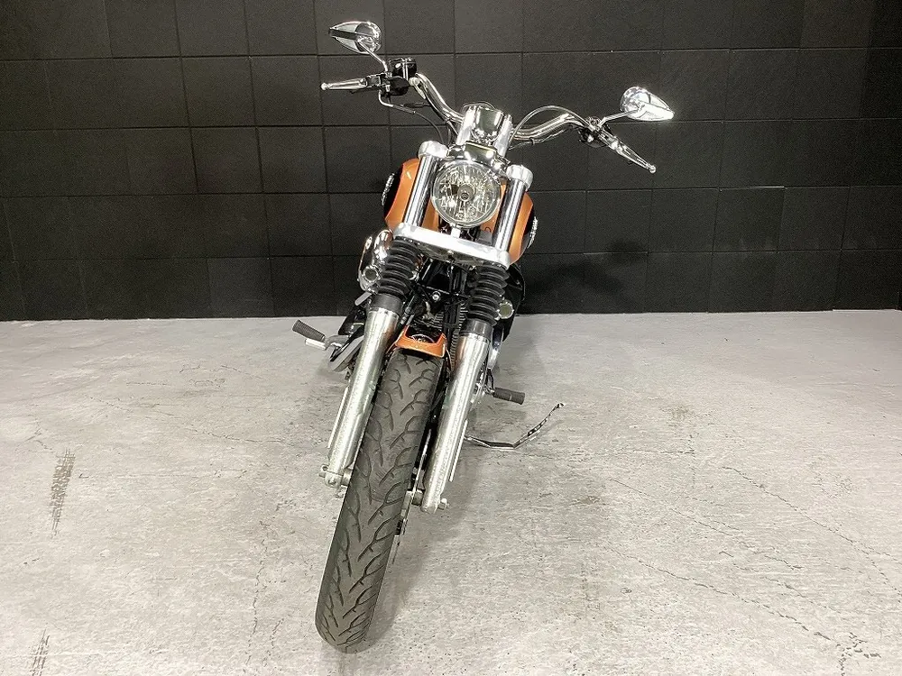 Harley-Davidson FXDL1580 2007, фото 8