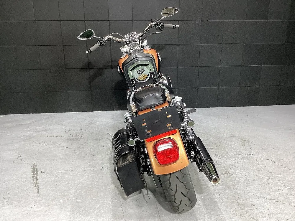 Harley-Davidson FXDL1580 2007, фото 9