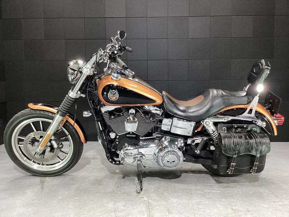 Harley-Davidson FXDL1580 2007, фото 3