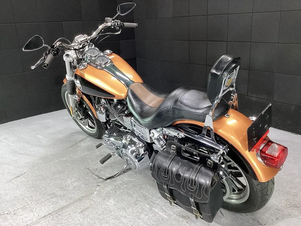 Harley-Davidson FXDL1580 2007, фото 7