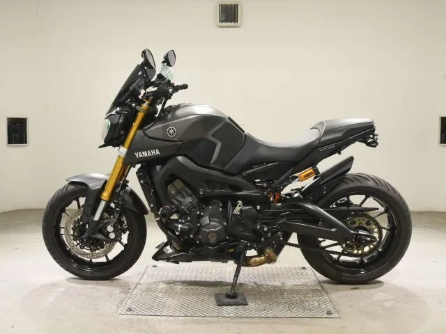 Yamaha MT-09 2014, серый, фото 2