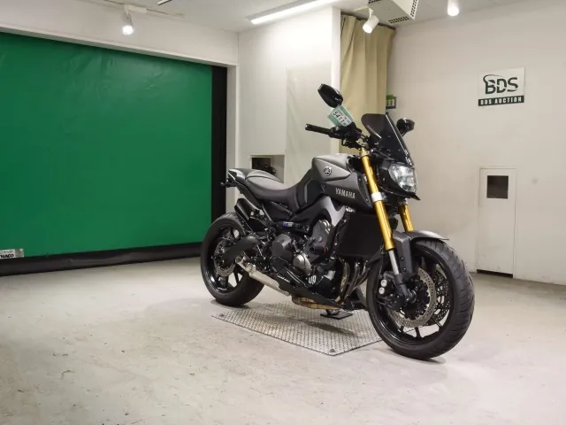 Yamaha MT-09 2014, серый, фото 3