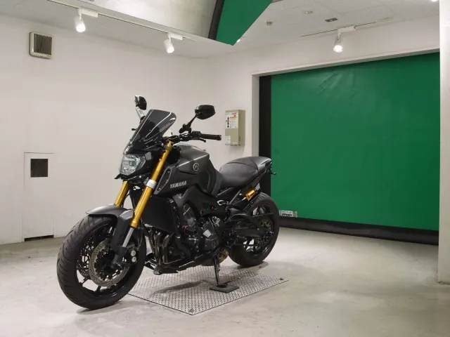 Yamaha MT-09 2014, серый, фото 4
