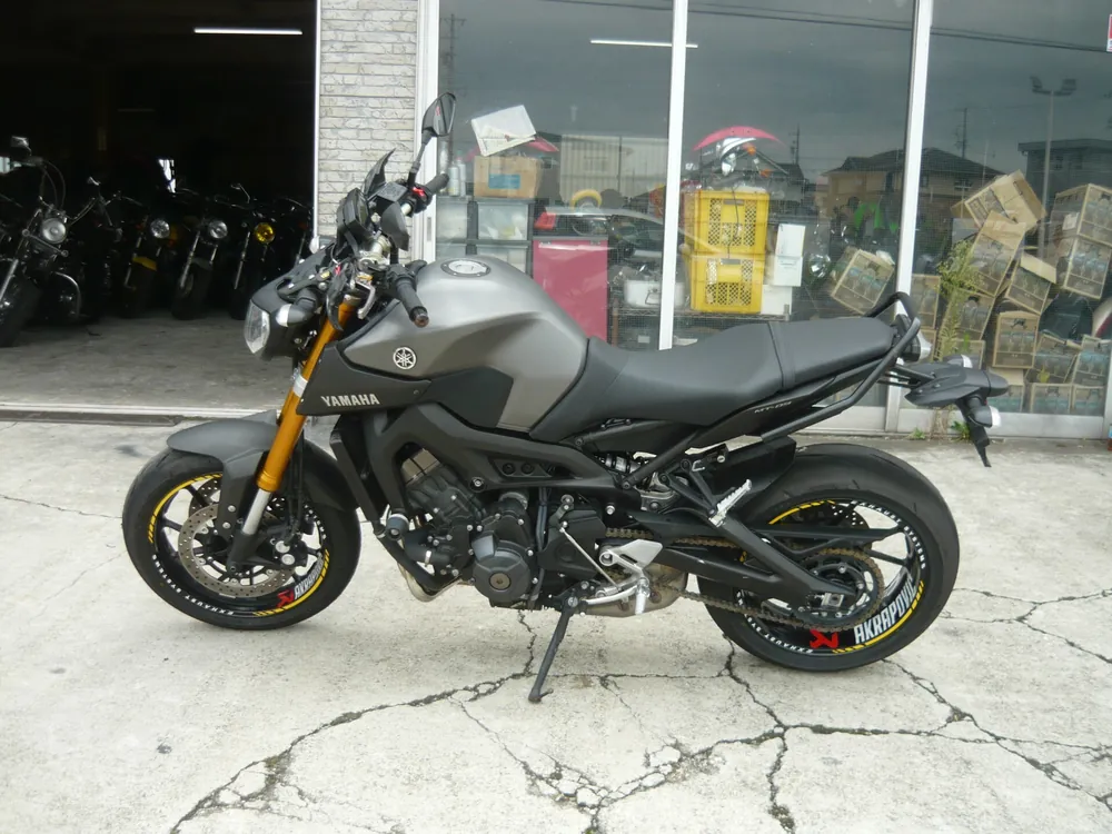 Yamaha MT-09 2014, серый, фото 2