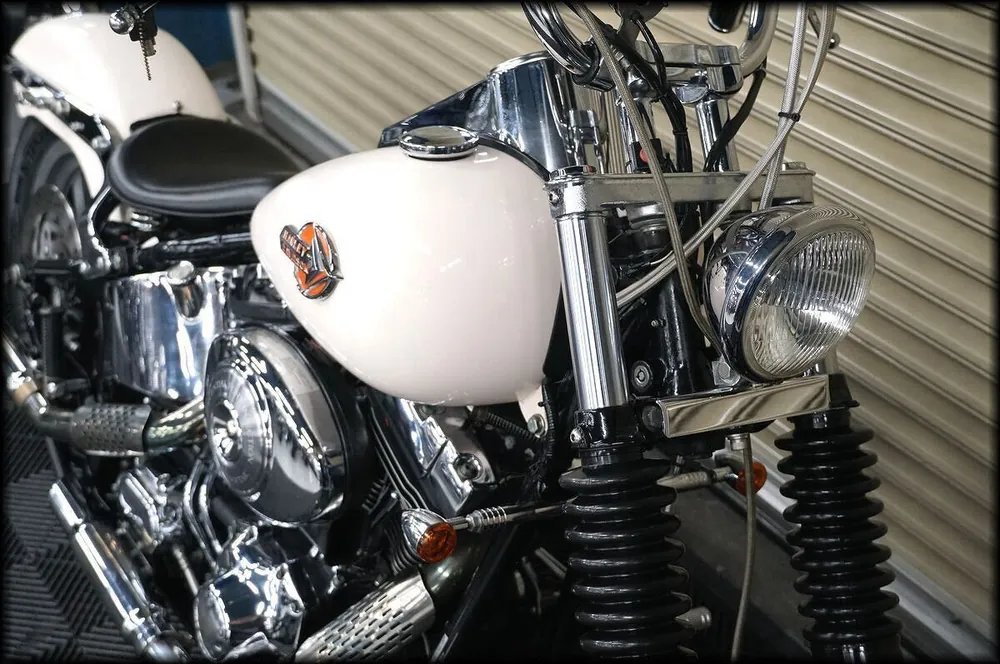 Harley-Davidson FLSTCI1450 2001, фото 5