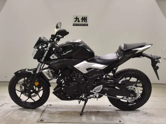 Yamaha YZF-R25, чёрный, фото 2