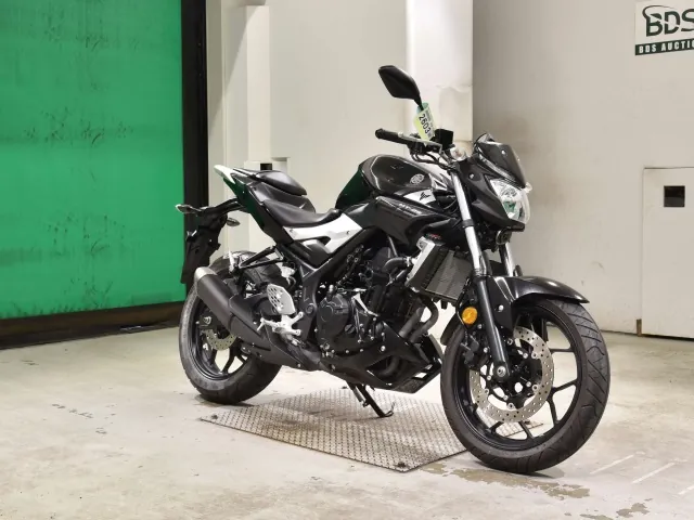 Yamaha YZF-R25, чёрный, фото 3