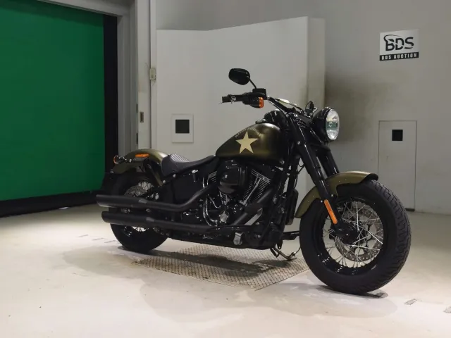 Harley-Davidson FLSS1800 2016, зелёный, фото 3
