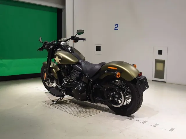 Harley-Davidson FLSS1800 2016, зелёный, фото 6