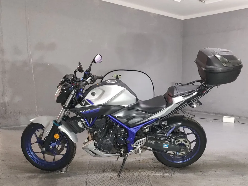 Yamaha YZF-R25, синий, фото 2