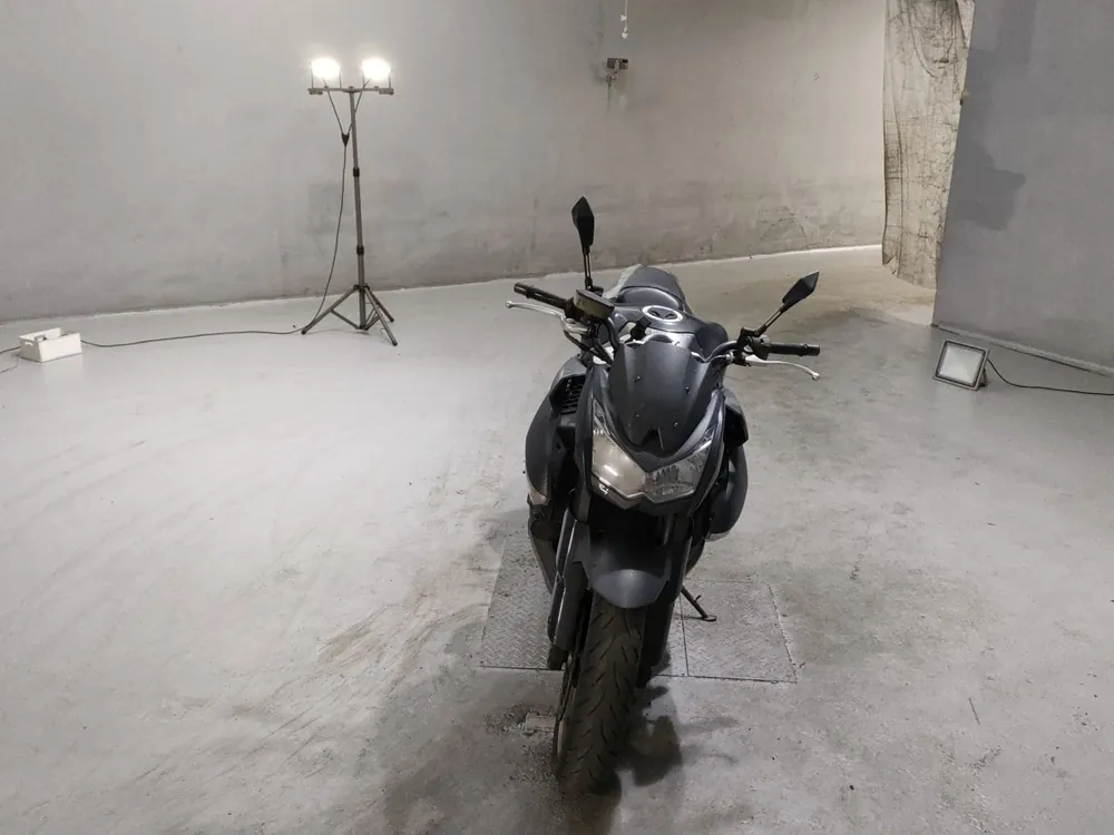 Kawasaki Z1000 2010, серый, фото 3