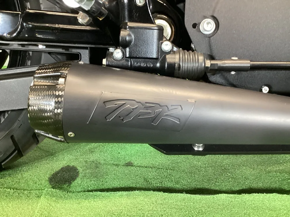 Harley-Davidson XL1200NS 2020, фото 2