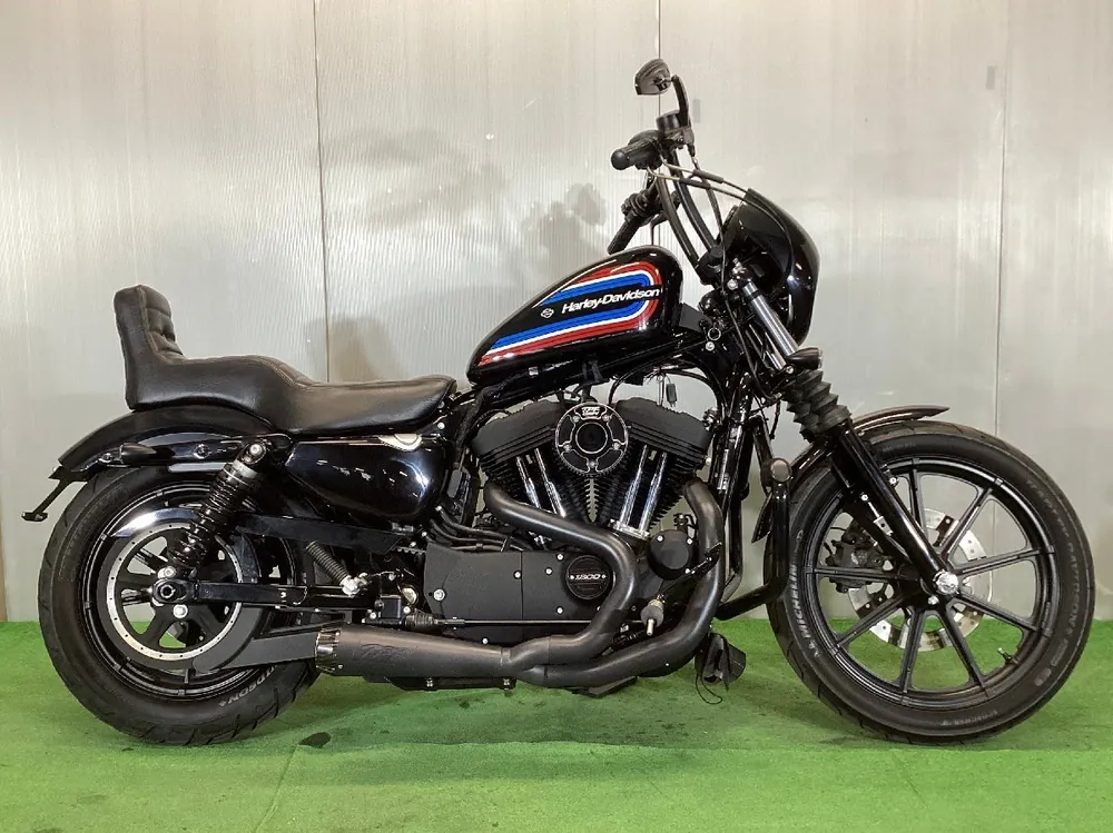Harley-Davidson XL1200NS 2020, фото 3
