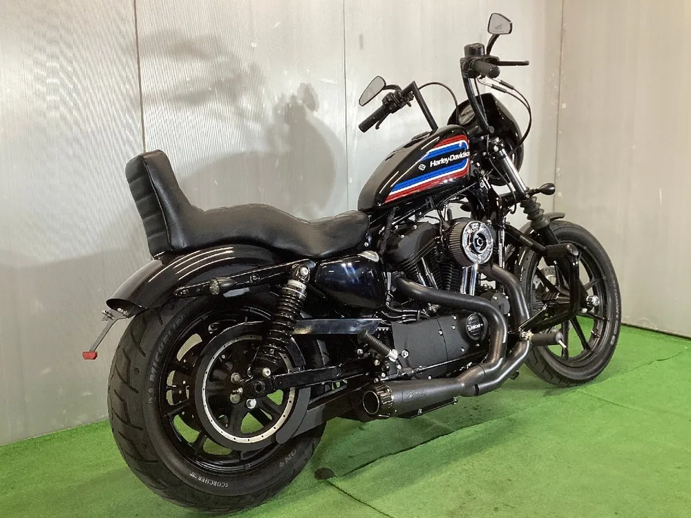 Harley-Davidson XL1200NS 2020, фото 4