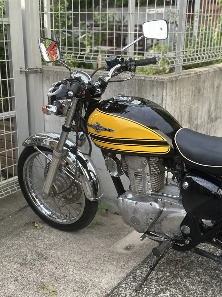 Kawasaki Estrella RS 2001, фото 8