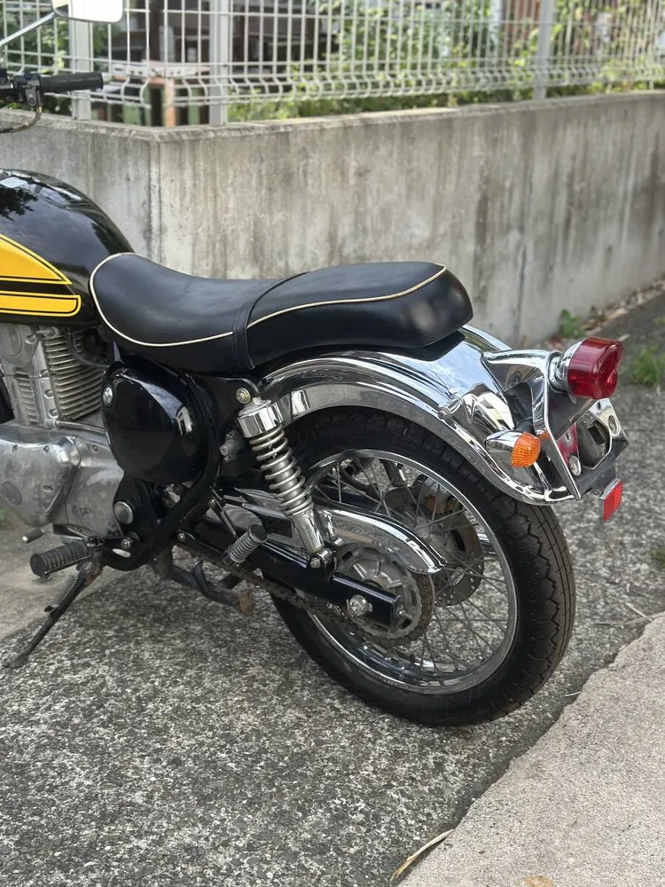 Kawasaki Estrella RS 2001, фото 9
