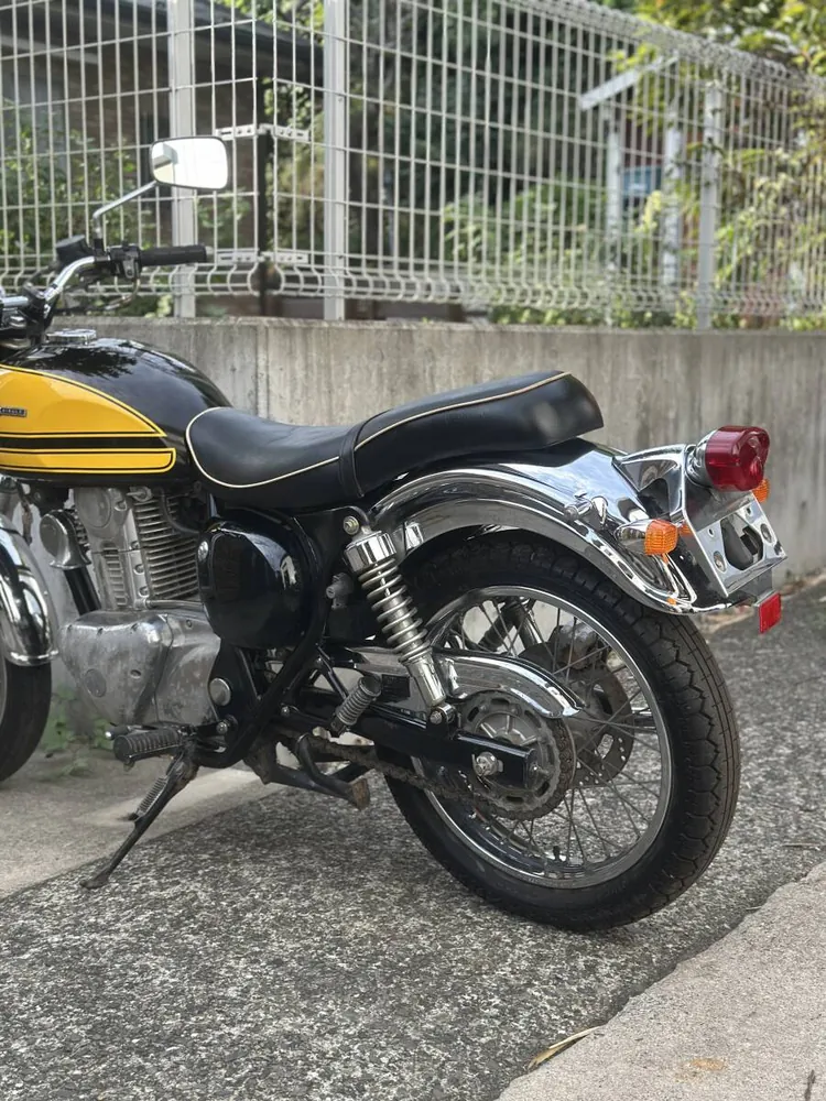 Kawasaki Estrella RS 2001, фото 10