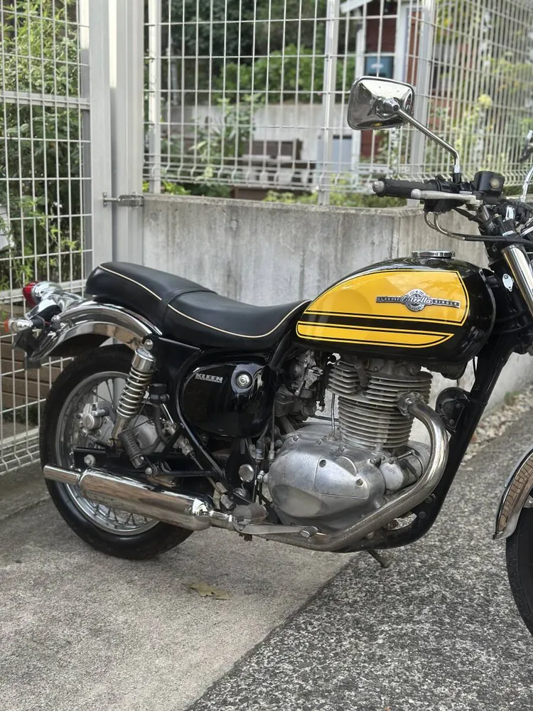 Kawasaki Estrella RS 2001, фото 4