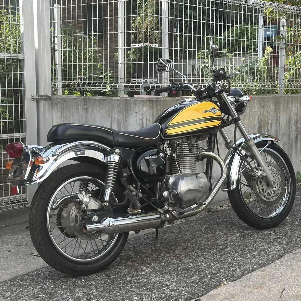 Kawasaki Estrella RS 2001, фото 5