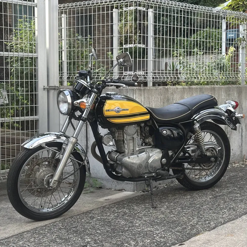 Kawasaki Estrella RS 2001, фото 6