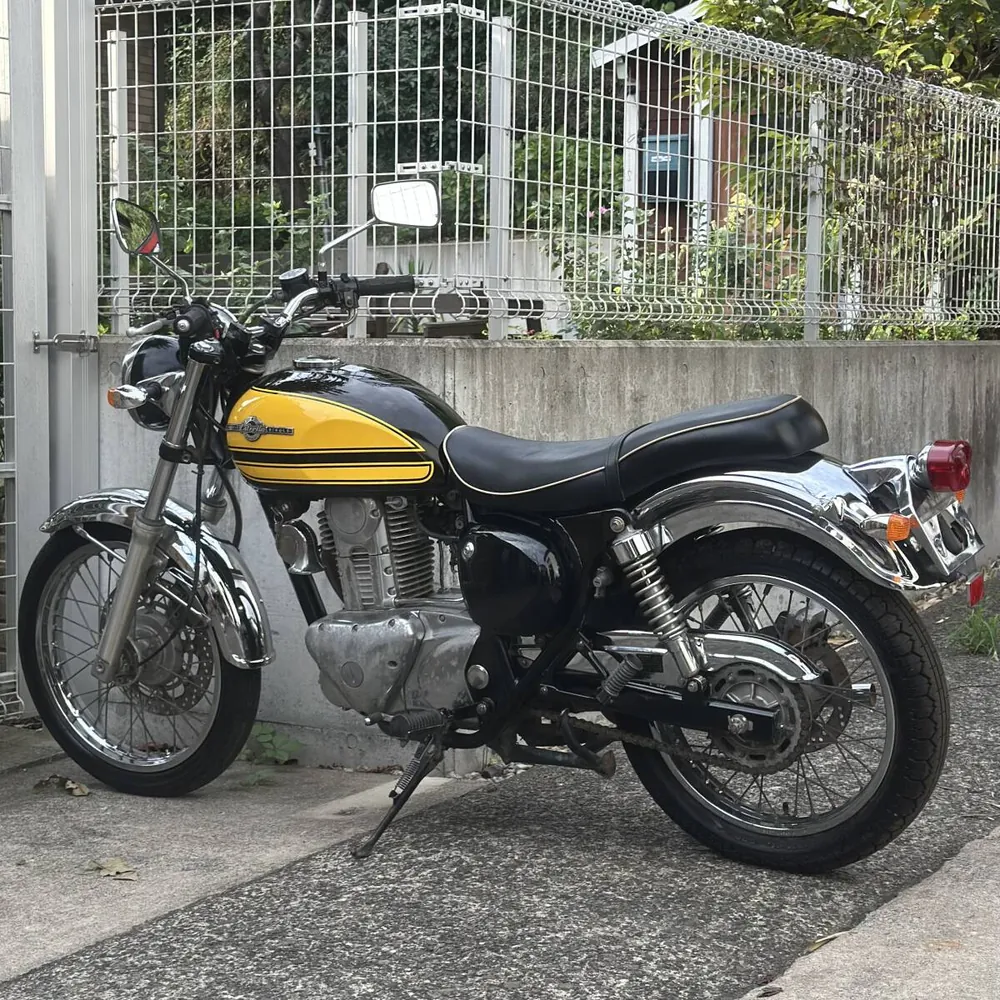 Kawasaki Estrella RS 2001, фото 7