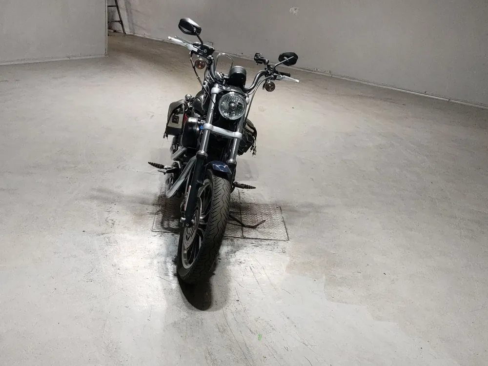 Harley-Davidson XL883R 2008, синий, фото 3