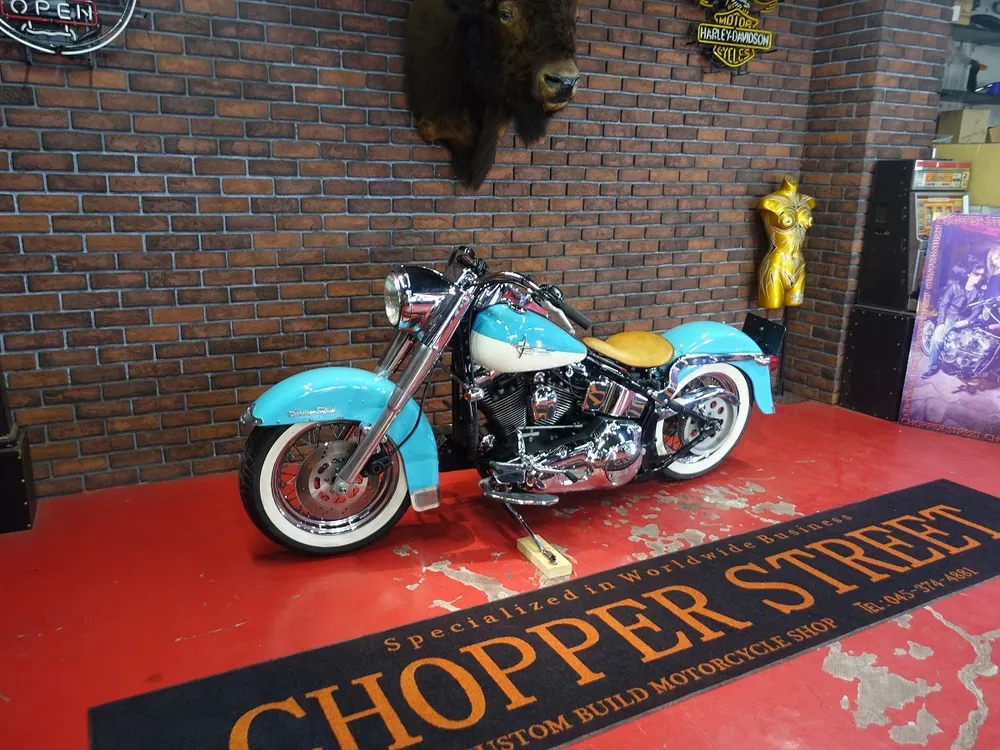 Harley-Davidson FLSTF 1998, фото 10