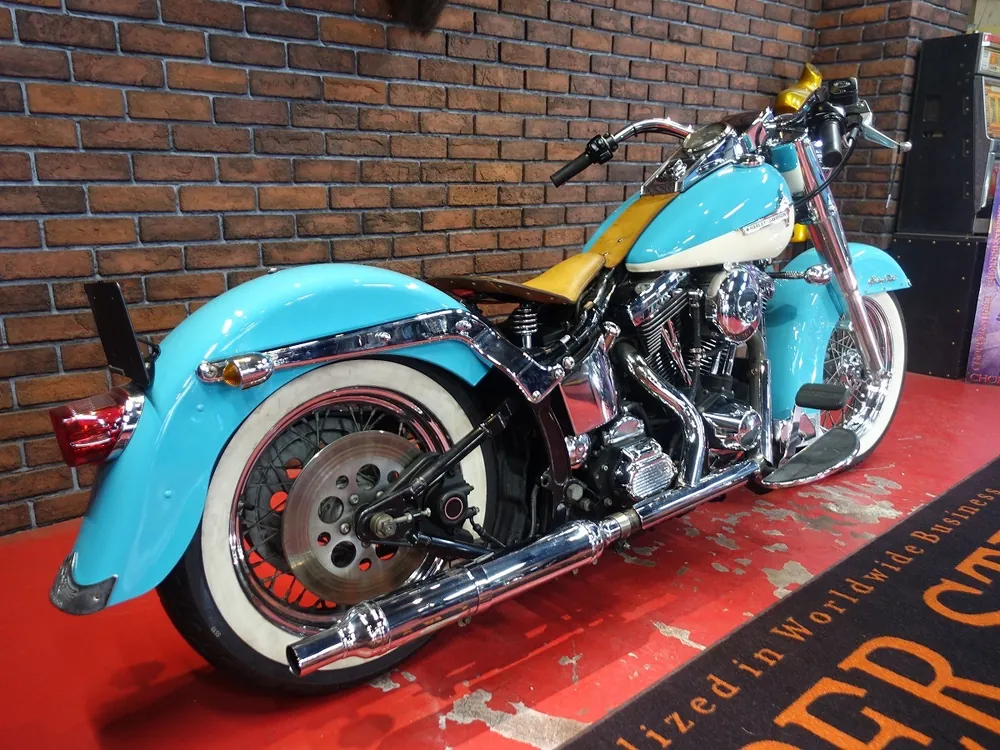 Harley-Davidson FLSTF 1998, фото 6