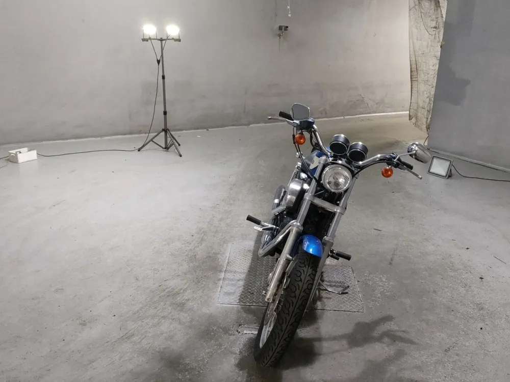 Harley-Davidson XL1200R 2004, white / blue, фото 3