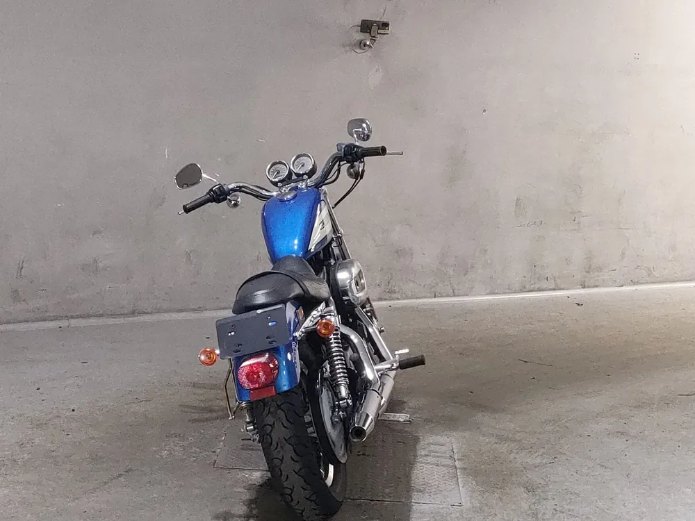 Harley-Davidson XL1200R 2004, white / blue, фото 4