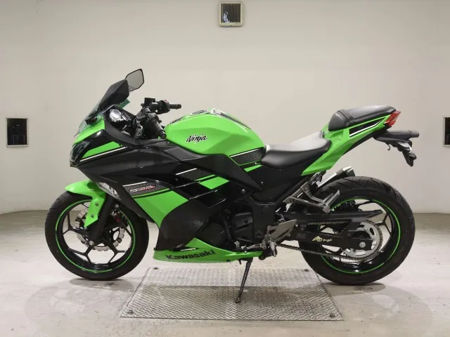 Kawasaki Ninja 250, black | green, фото 2