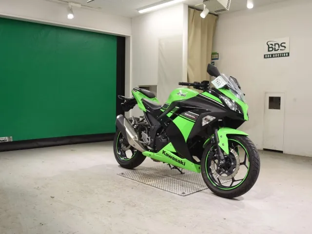 Kawasaki Ninja 250, black | green, фото 3