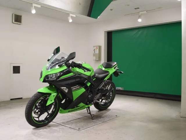Kawasaki Ninja 250, black | green, фото 4