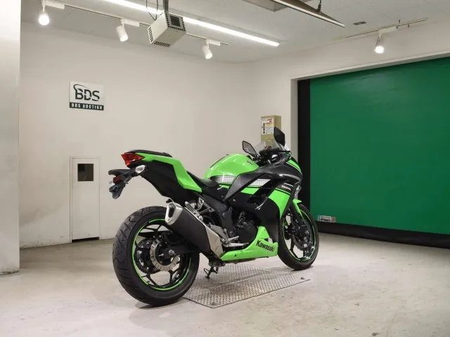 Kawasaki Ninja 250, black | green, фото 5