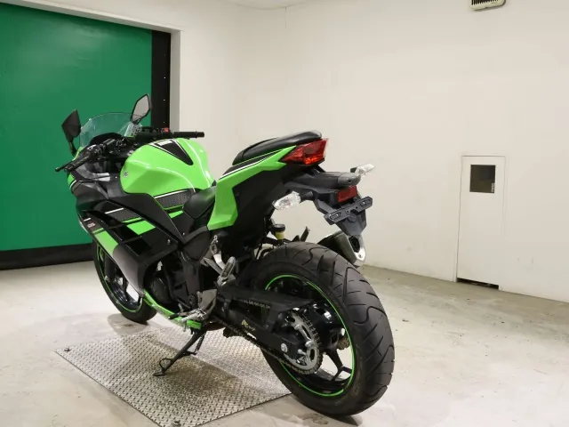 Kawasaki Ninja 250, black | green, фото 6