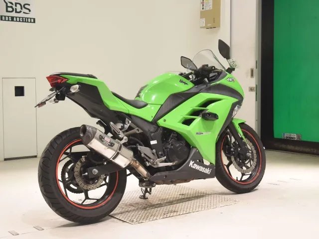 Kawasaki Ninja 250, зелёный, фото 5