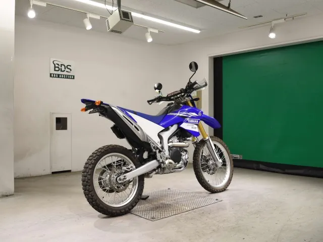 Yamaha WR250R, white | blue, фото 5