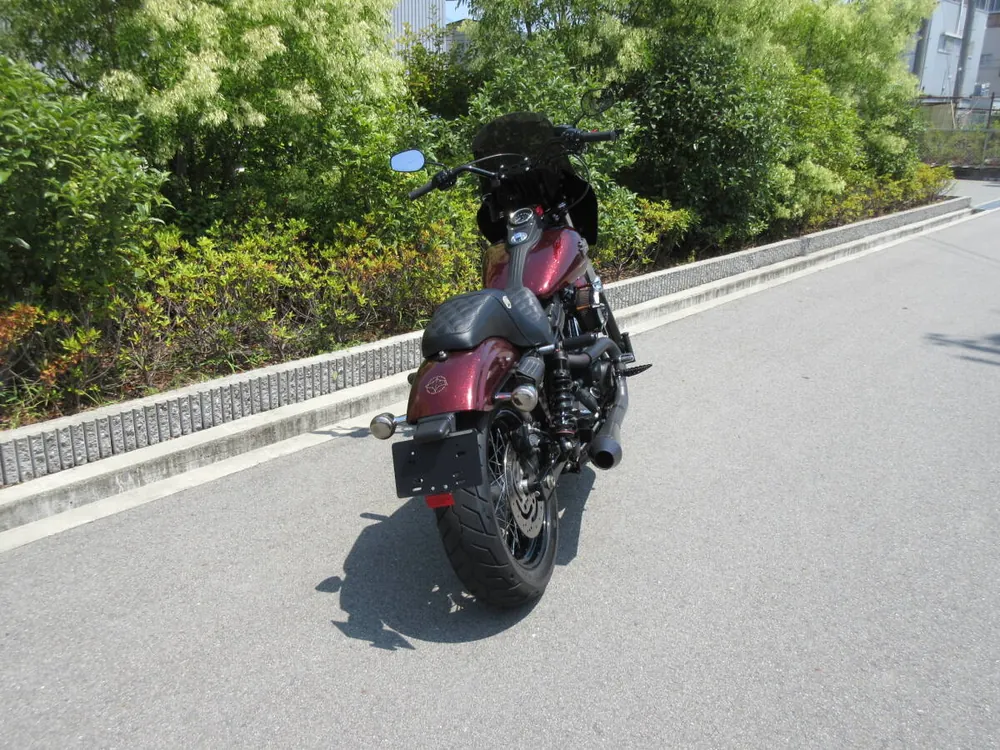 Harley-Davidson FXDB 2013, фото 4