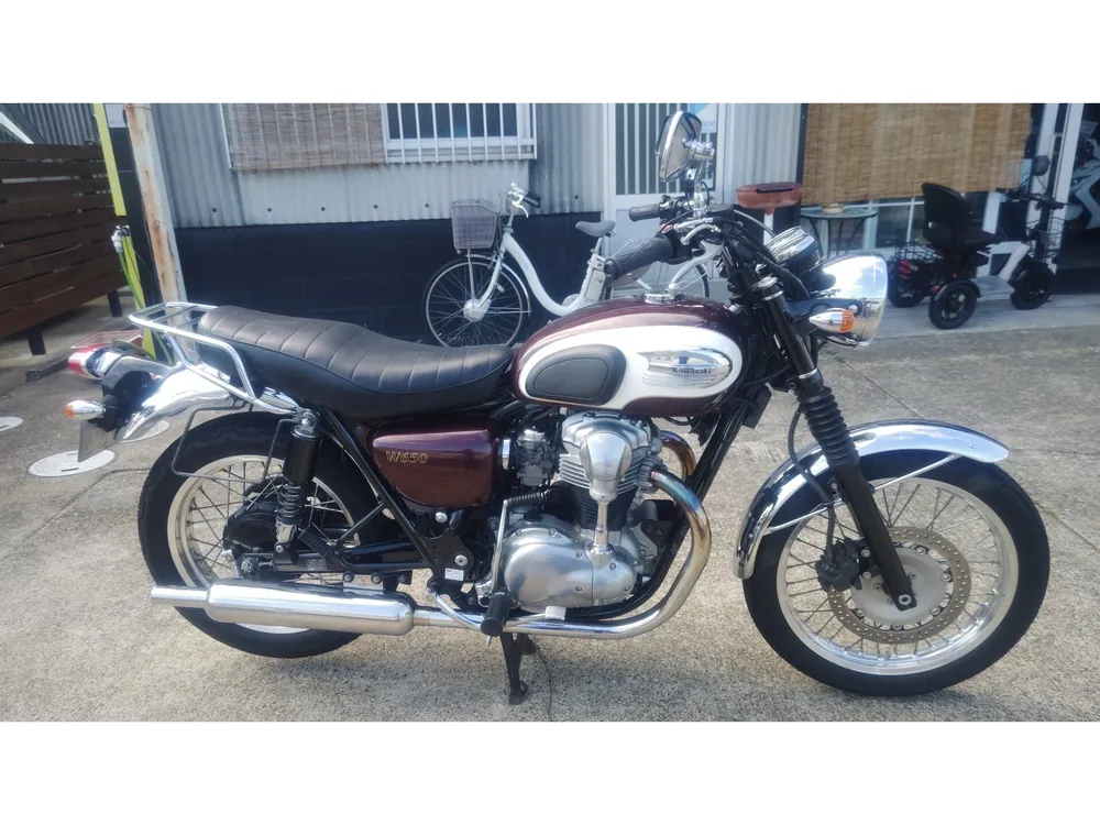 Kawasaki W650 2009, light brown, фото 2
