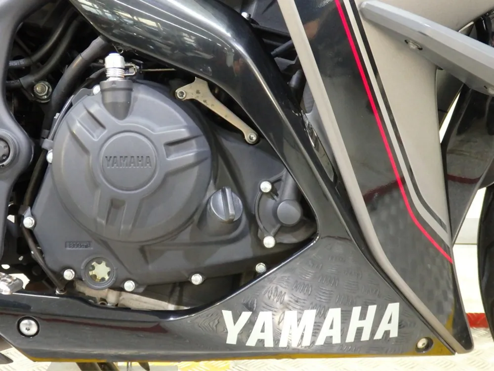 Yamaha YZF-R25, серый, фото 20