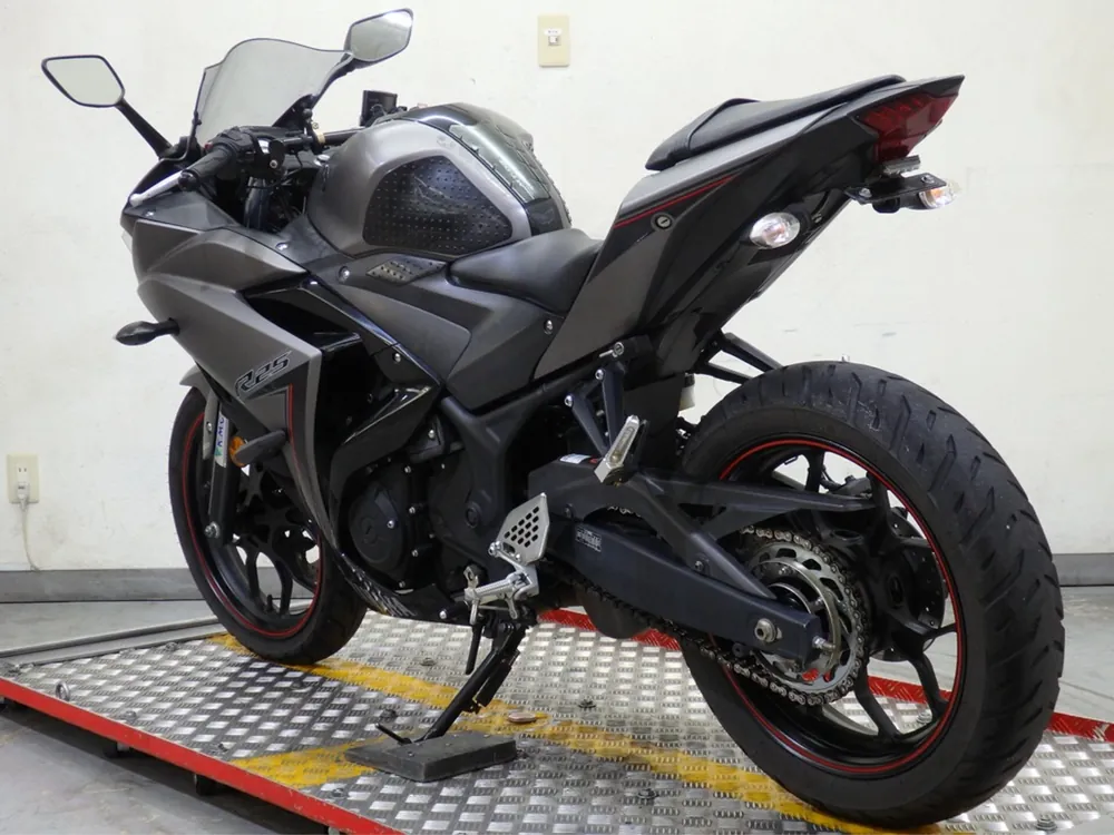 Yamaha YZF-R25, серый, фото 4