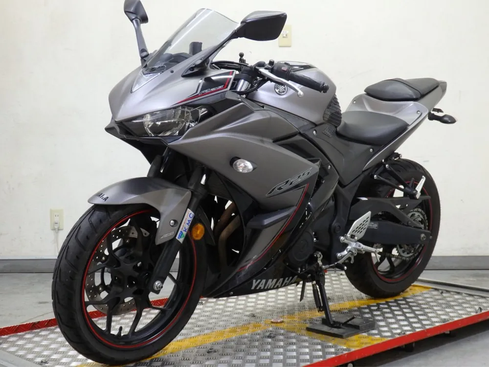 Yamaha YZF-R25, серый, фото 6